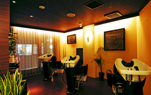 Beauty salon