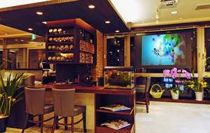 Beauty salon