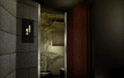 Perspective image17