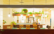 Music cafe