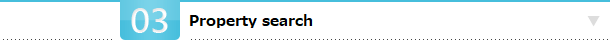 Property search